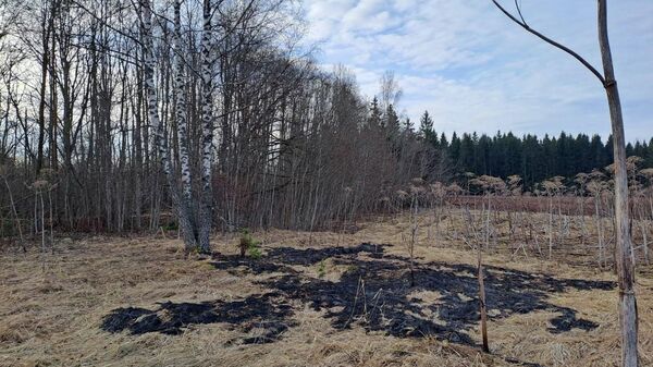 Фото с места падения украинского дрона в Краславском крае Латвии - Sputnik Латвия