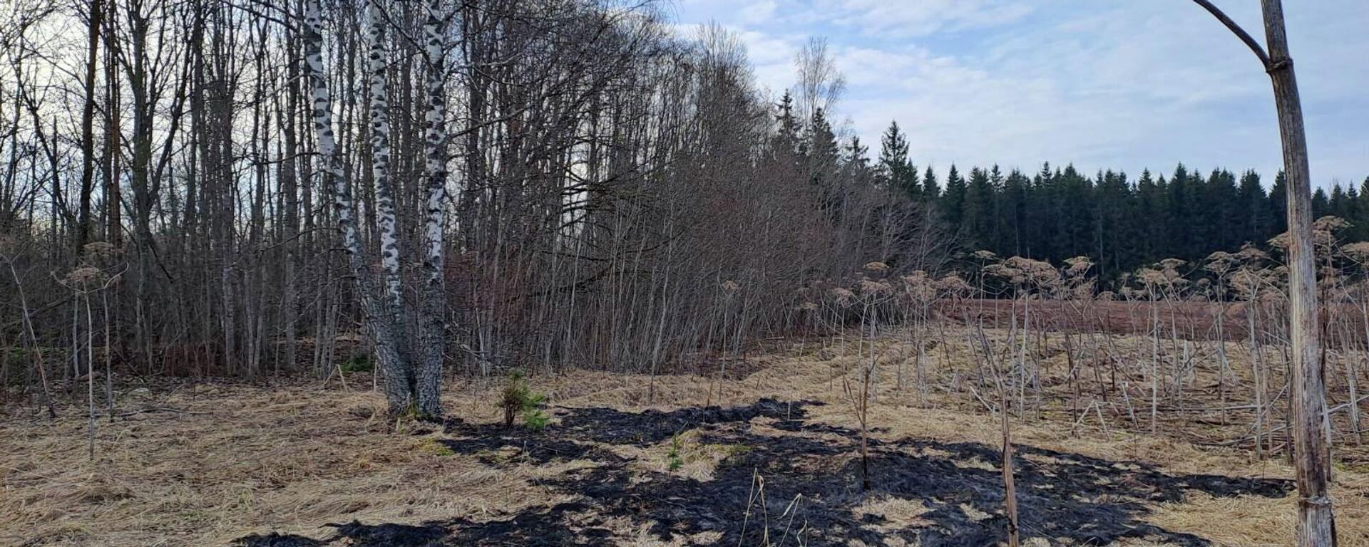 Фото с места падения украинского дрона в Краславском крае Латвии - Sputnik Латвия, 1920, 25.03.2026