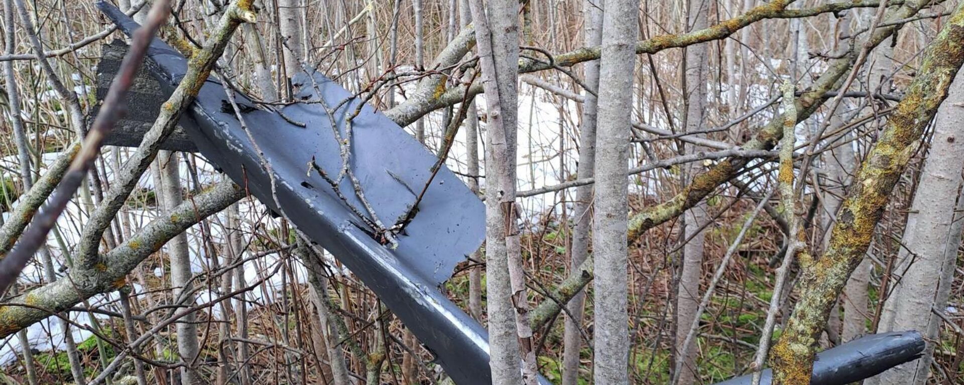 Украинский дрон, упавший в Краславском крае Латвии - Sputnik Латвия, 1920, 27.03.2026