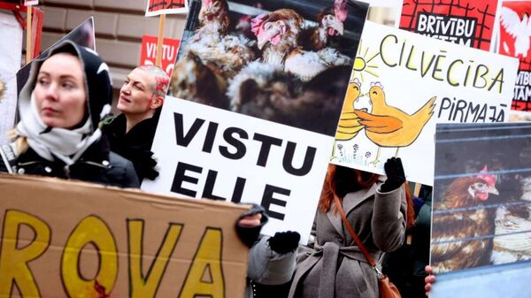 Акция в Риге в защиту кур - Sputnik Латвия