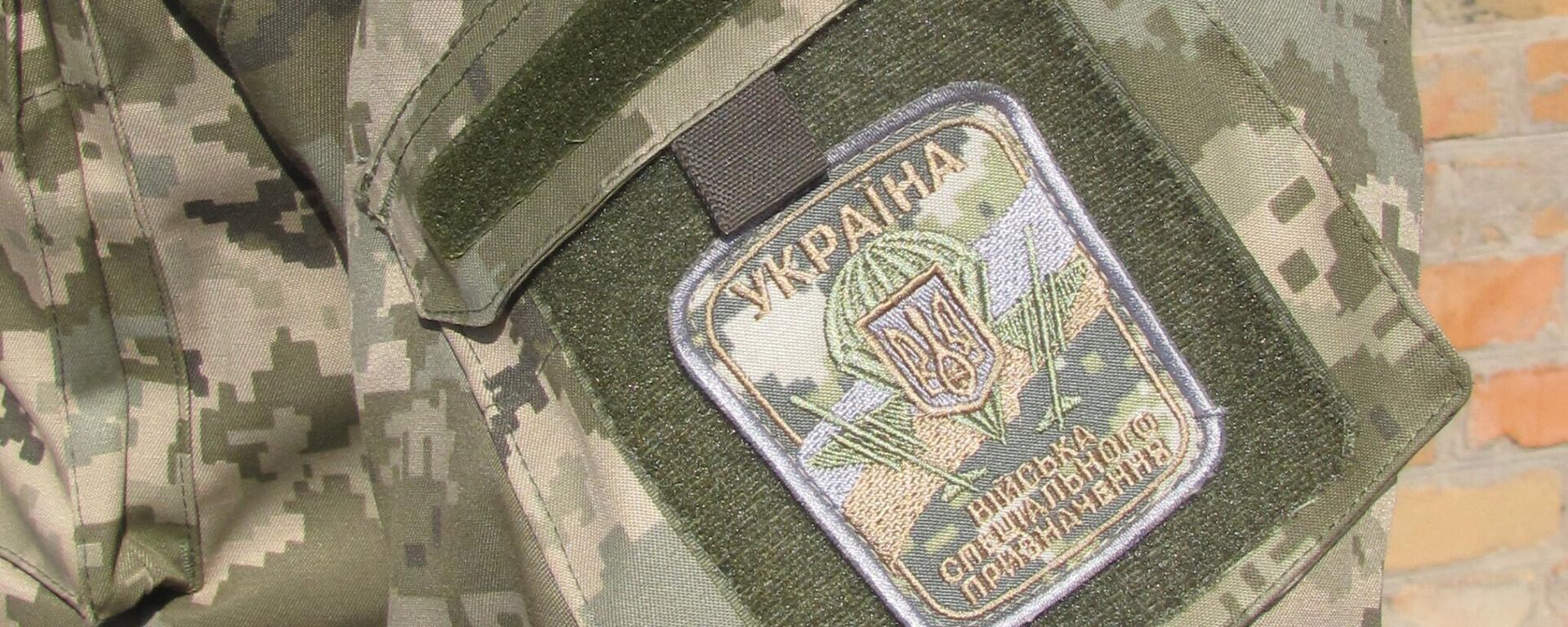 Шеврон вооруженных сил Украины  - Sputnik Латвия, 1920, 07.04.2026