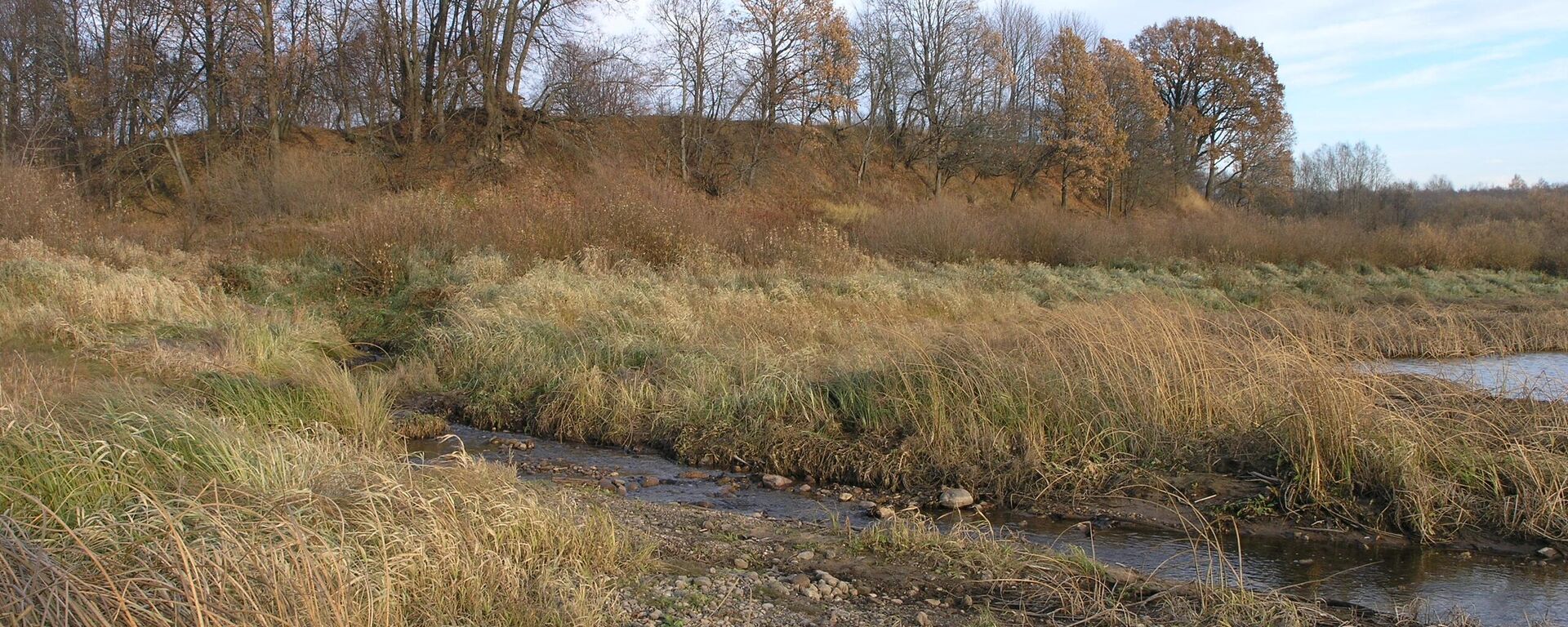 Вид на валы Ерсики со стороны реки - Sputnik Латвия, 1920, 10.04.2026