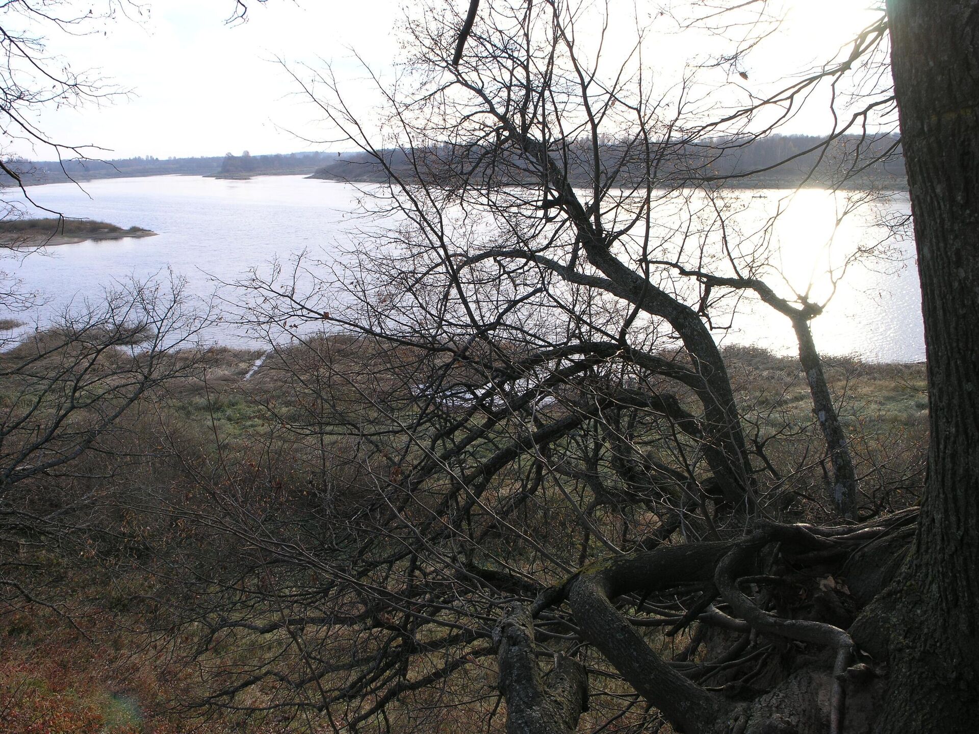 Ерсика. Вид с крепостного вала на Даугаву - Sputnik Латвия, 1920, 10.04.2026