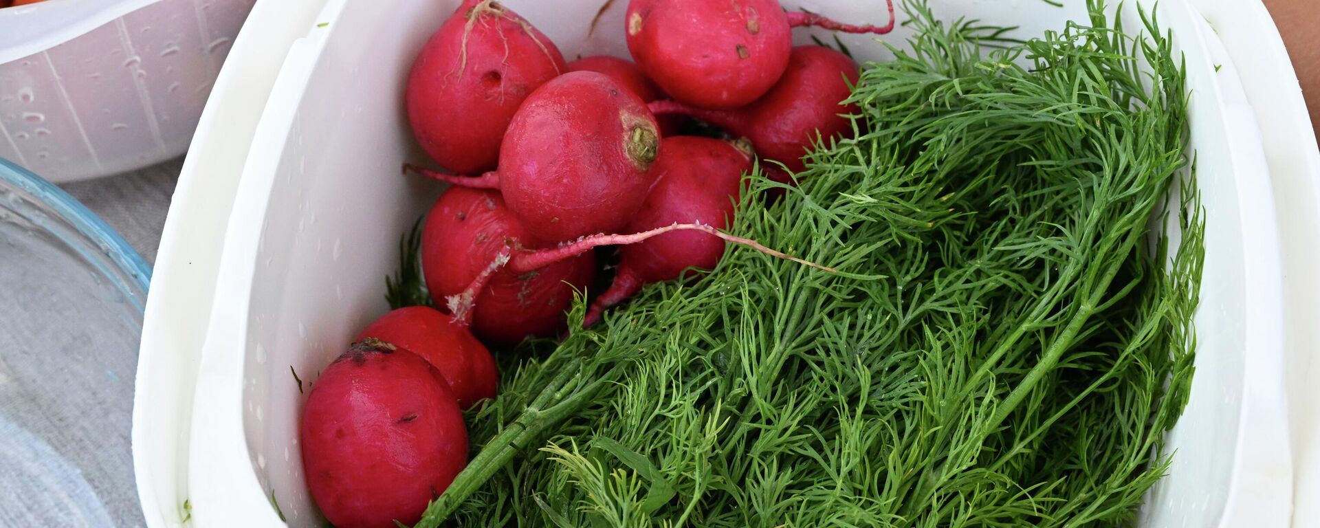 Редис и зелень - Sputnik Латвия, 1920, 10.04.2026