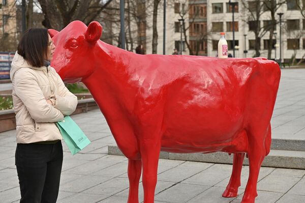 По словам председателя Литовской ассоциации производителей молока Йонаса Вилениса, сегодня литовские фермеры получают самую низкую закупочную цену молока в Евросоюзе, а также получают самые низкие выплаты. - Sputnik Латвия
