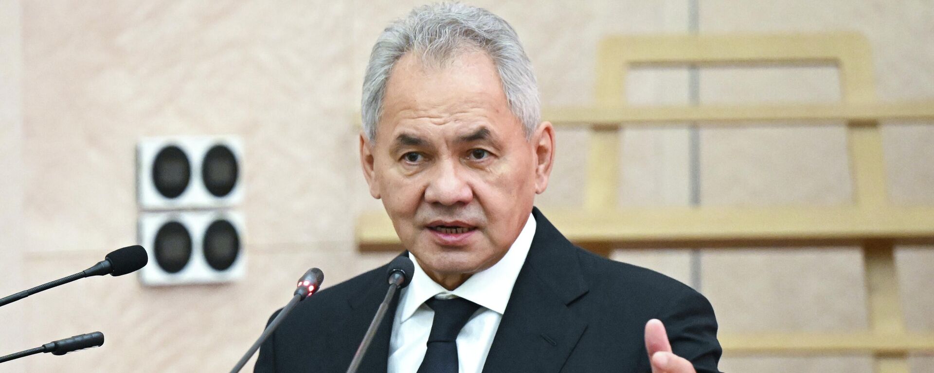 Секретарь Совета безопасности РФ Сергей Шойгу - Sputnik Латвия, 1920, 17.04.2026