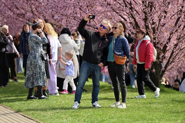 Парк сакур имени Тиунэ Сугихары был открыт в октябре 2001 года. В парке высажена аллея из 200 японских сакур. - Sputnik Латвия