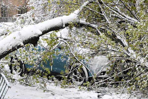 В городе задерживаются электрички и трамваи, зафиксирован первый обрыв линии электропередачи  - Sputnik Латвия