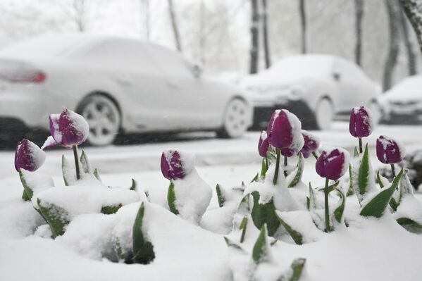 Водителям, сменившим резину на летнюю, власти настоятельно рекомендовали использовать общественный транспорт для поездок по городу  - Sputnik Латвия