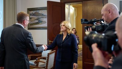 Встреча президента Латвии Эдгарса Ринкевичса с премьер-министром Латвии Эвикой Силиней