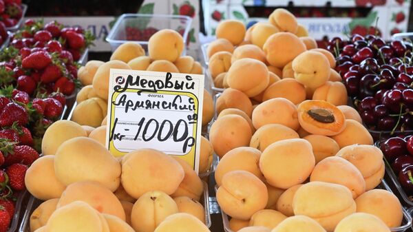 Продажа абрикосов из Армении в России - Sputnik Латвия