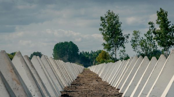 Зубы дракона на границе - Sputnik Латвия
