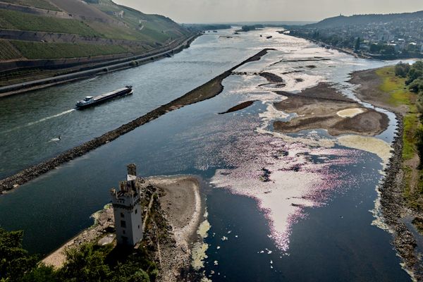 Часть реки Рейн пересохла в результате жаркой погоды в Бингене, Германия. - Sputnik Латвия