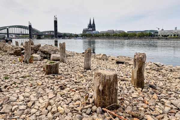 Из-за исторически низкого уровня воды в Рейне, вызванного аномальной жарой и затяжной засухой, обнажились остатки послевоенного моста Паттона - Sputnik Латвия