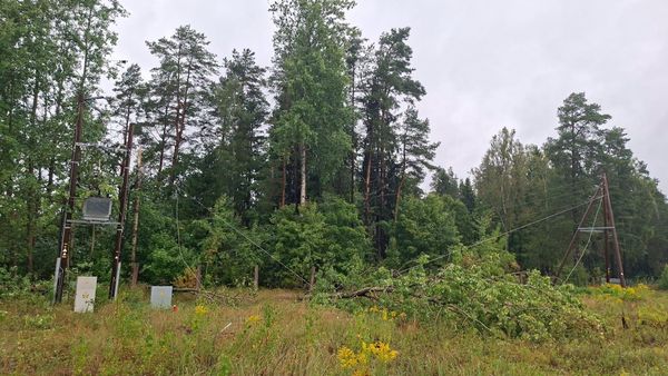 Министр умного управления и регионального развития Эдгарс Таварс заявил, что нанесенный непогодой ущерб может оказаться рекордным  - Sputnik Латвия