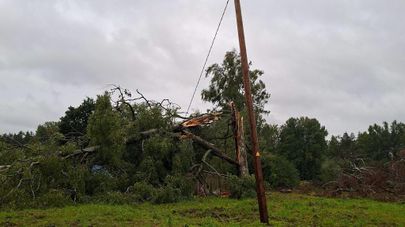 Последствия бури в Латвии