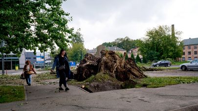Последствия бури в Риге