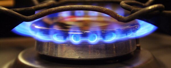 Gāzes plīts. Foto no arhīva Gāzes plīts. Foto no arhīva - Sputnik Latvija