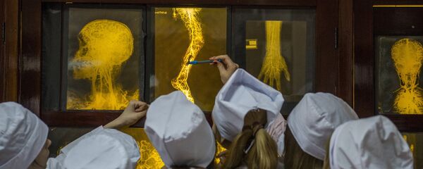 Medicīnas studenti Medicīnas studenti - Sputnik Latvija