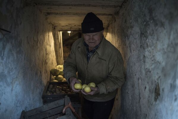 Мужчина с яблоками в подвале дома в поселке Зайцево Донецкой области - Sputnik Латвия
