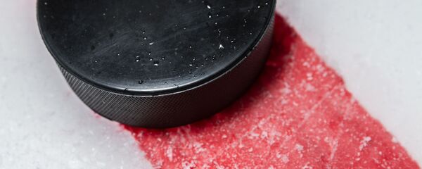 Шайба на льду - Sputnik Латвия