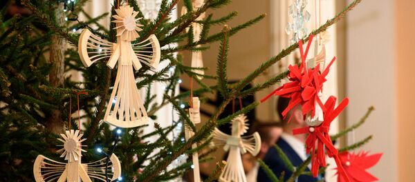 Главная елка кабинета министров Латвии в 2017 году Главная елка кабинета министров Латвии в 2017 году - Sputnik Латвия