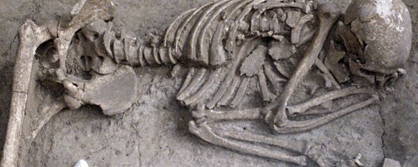 Захоронение - Sputnik Латвия