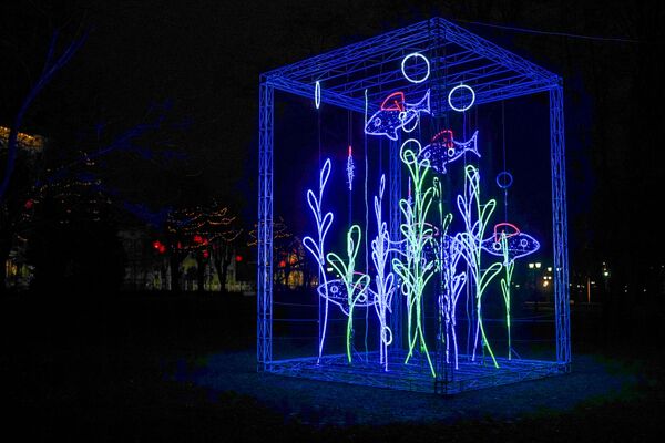 Выбери елочку: Путь рождественских елок закроется на этой неделе - Sputnik Латвия