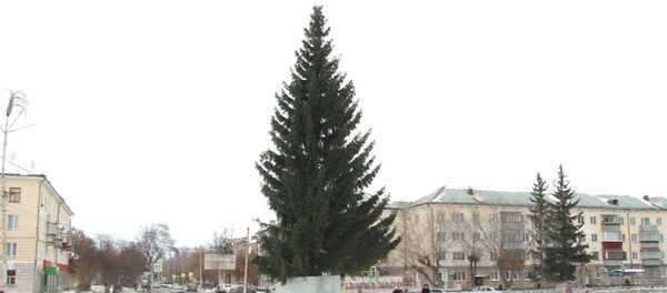 Ель в Чебаркуле - Sputnik Латвия