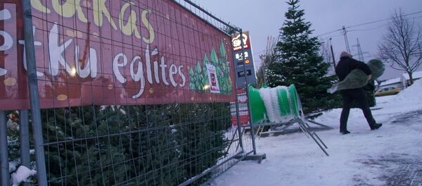 Елочный базар в Риге - Sputnik Латвия