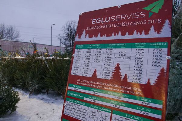 На крутых елочных виражах: где купить зеленую красавицу На крутых елочных виражах: где купить зеленую красавицу - Sputnik Латвия