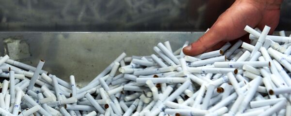 Фабрика АО Филип Моррис Ижора в Ленинградской области - Sputnik Латвия