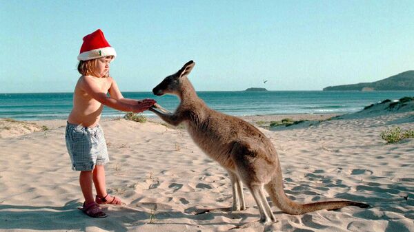 Девочка с кенгуру на пляже накануне Рождества в Австралии  - Sputnik Латвия