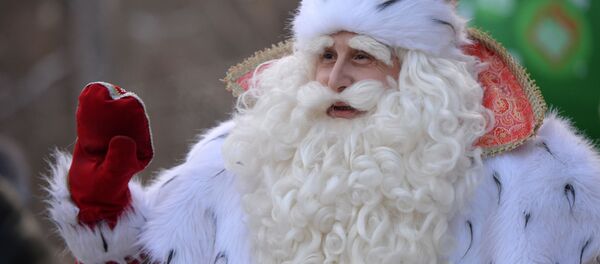 Всероссийский Дед Мороз на празднике в ЦПКиО им. Маяковского во время посещения Екатеринбурга - Sputnik Латвия
