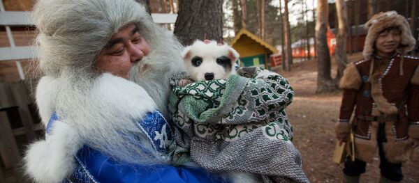 Ямал Ири из Салехарда несет щенка в подарок Деду Морозу во время празднования Дня рождения Деда Мороза в Великом Устюге - Sputnik Латвия