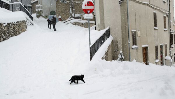 Кошка в снегу в Италии  - Sputnik Латвия