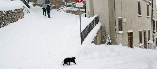 Кошка в снегу в Италии  - Sputnik Latvija