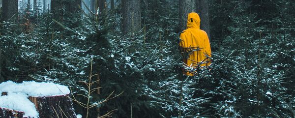 В лесу В лесу - Sputnik Латвия