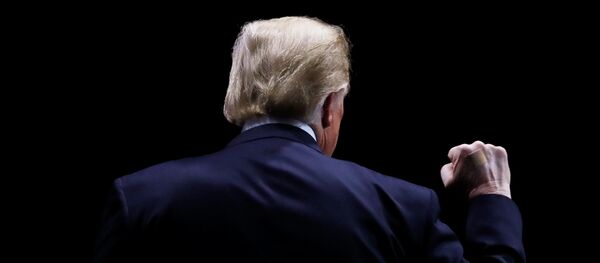 Президент США Дональд Трамп Президент США Дональд Трамп - Sputnik Latvija