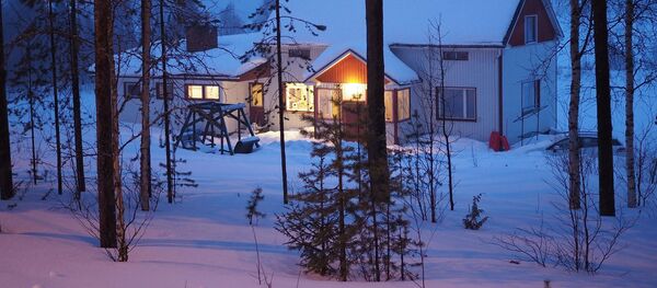 Вид на ночной лесной пейзаж Финляндии - Sputnik Латвия