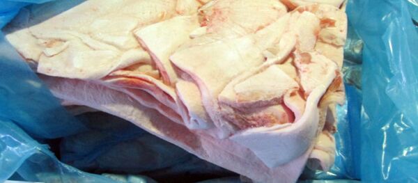 Сотрудники территориального Управления Россельхознадзора вернули в Латвийскую Республику более 20 тонн свиного шпика - Sputnik Латвия