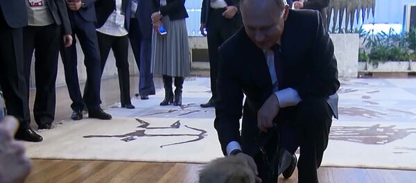 Путин получил в подарок щенка от президента Сербии - видео Путин получил в подарок щенка от президента Сербии - видео - Sputnik Latvija