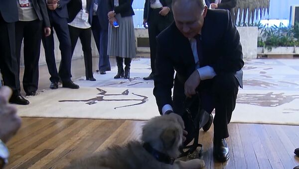 Путин получил в подарок щенка от президента Сербии - видео - Sputnik Latvija
