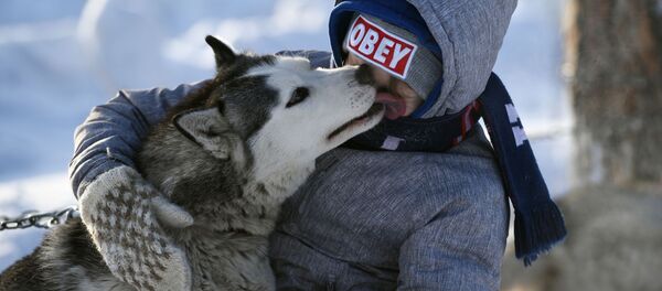 Соревнования по ездовому спорту Соревнования по ездовому спорту - Sputnik Латвия