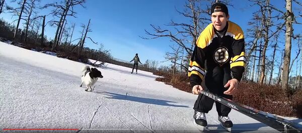 Катание на коньках по болоту - Sputnik Латвия