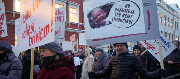 У здания Сейма прошел пикет Новой консервативной партии За правовую Латвию! - Sputnik Латвия