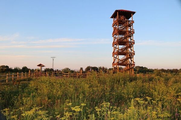 Туристическая выставка в Риге: уроки латгальского и путь угря Туристическая выставка в Риге: уроки латгальского и путь угря - Sputnik Латвия