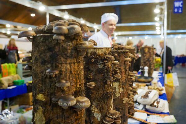 Выставка Balttour-2019: дыни из Зилупе, чесночные леденцы и прочие латвийские сенсации - Sputnik Латвия