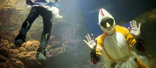 Пасхальные ведьмы в водном музее в Стокгольме на страстной четверг Пасхальные ведьмы в водном музее в Стокгольме на страстной четверг - Sputnik Латвия