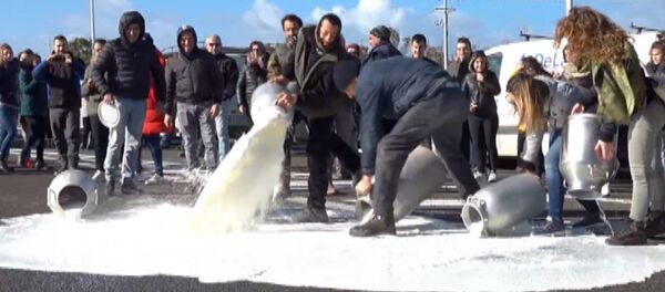 Фермеры залили дорогу молоком - видео - Sputnik Латвия